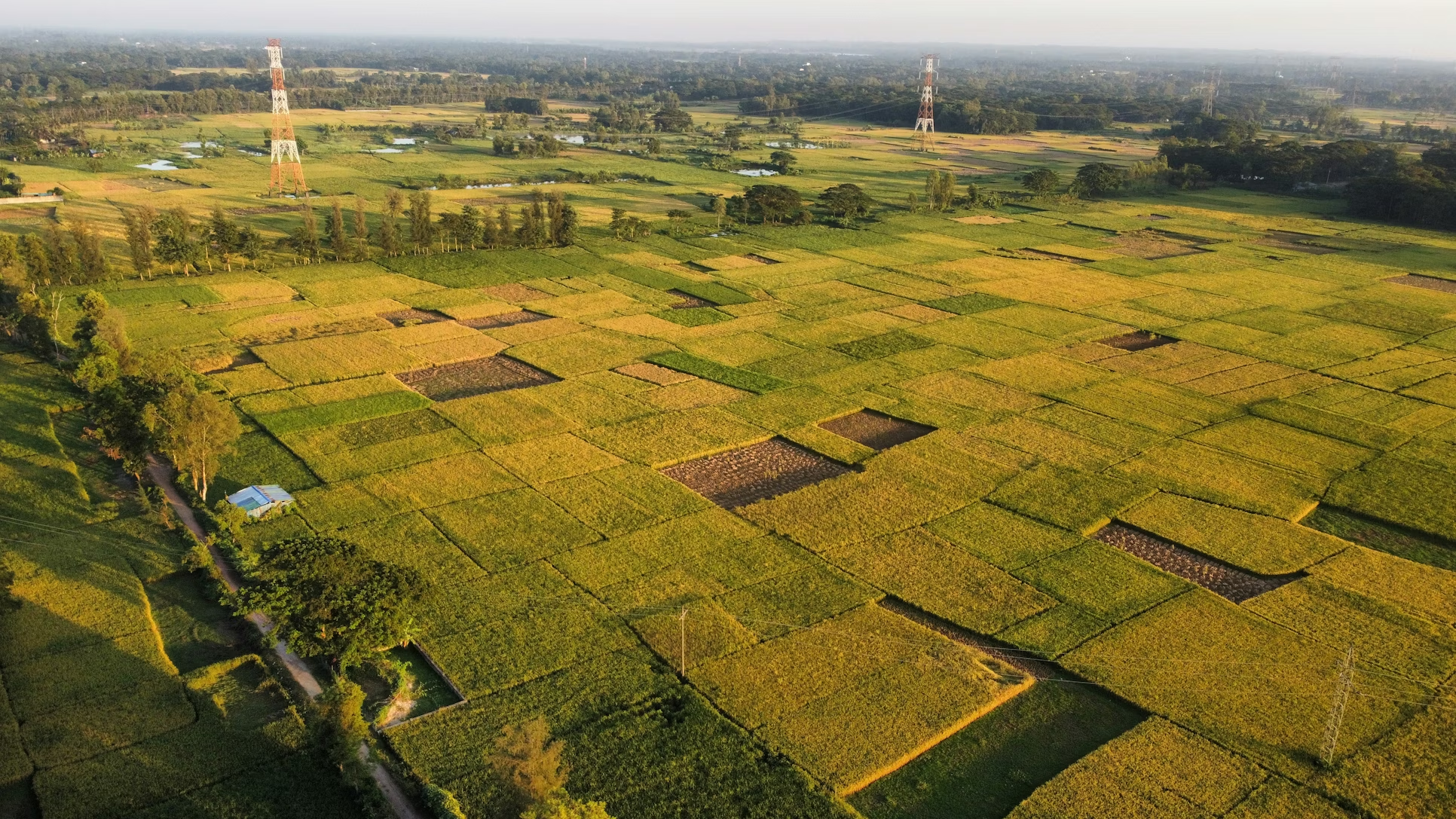 Aerial view of farm fields